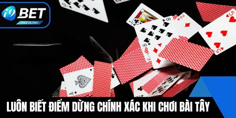 Luôn biết điểm dừng chính xác khi chơi bài tây