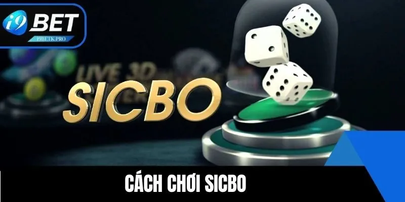 Cách Chơi Sicbo Tại i9BET: Hướng Dẫn Chi Tiết Cho Người Mới​