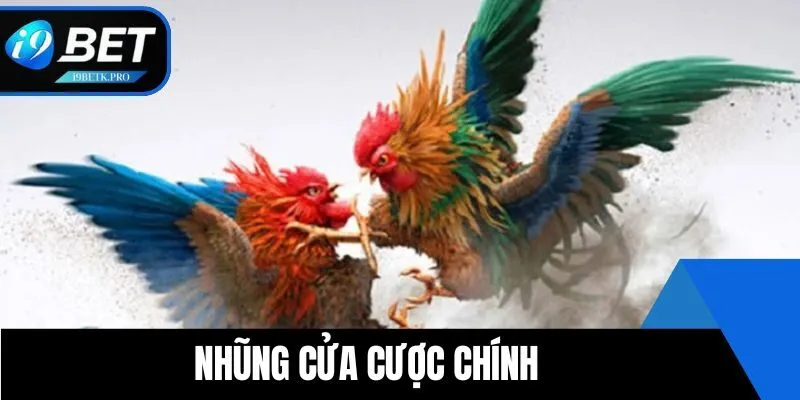 Những cửa cược chính tại I9BET