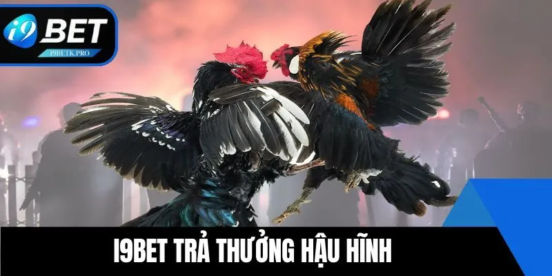 Nhà cái trả thưởng hậu hĩnh