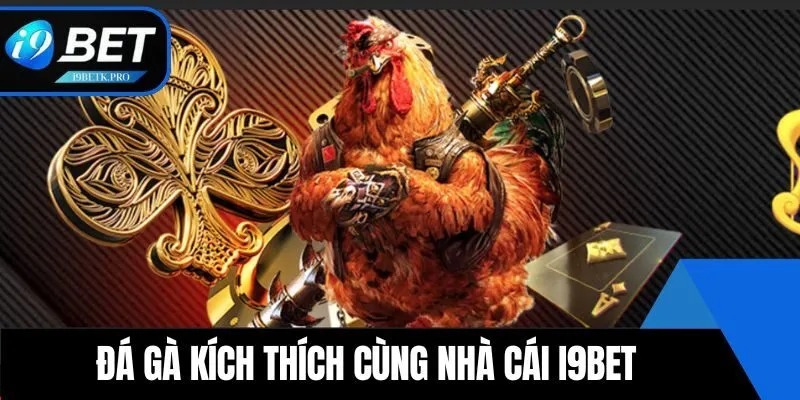 Đá gà kích thích cùng nhà cái